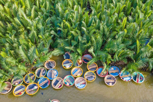 Hoi An: clase de cocina, pesca y aventura en barca de cesta