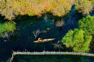 Hué : visite de la mangrove de Ru Cha et du lagon de Dam Chuon