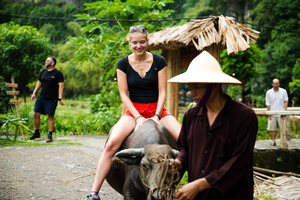 Ninh Binh : Randonnée à dos de buffle, plantation de riz en groupe