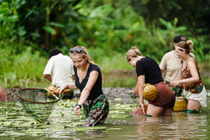 Ninh Binh : Plantation de riz et pêche en panier