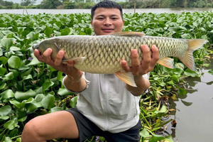 Ninh Binh: Traditionell fisketur och Trang An, ett Unesco-världsarv