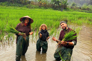 Ninh Binh: wietnamska kultura ryżu i doświadczenie związane z uprawą