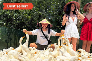 Båtkryssning i Phong Nha-grottorna, Paradisgrotta och Duck Tang Farm