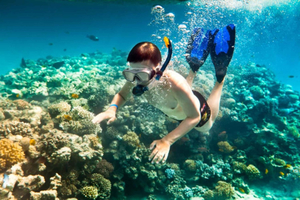 Phú Quốc: tour con pesca e snorkeling, passeggiata sottomarina o immersione subacquea