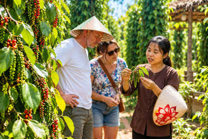 Phu Quoc: Pippurimaatilaelämys, maistiaiset ja kokkauskurssi