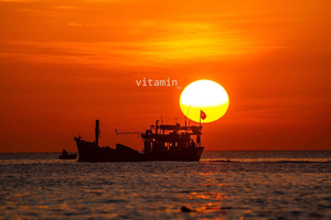 Phu Quoc: Snorkling med hurtigbåt og privat grilling ved solnedgang