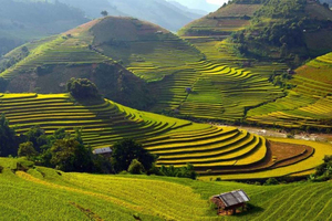 Sa Pa: Muong Hoa Valley Trek and Local Ethnic Villages