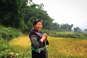 Trek de 3 jours à Sapa : villages secrets et nature avec Mama Shushu