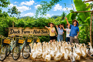 Tam Coc Bike Tour: Rural Villages, Rice Fields & Duck Farm