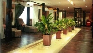 Anam QT Spa