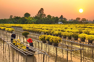 Can Tho: Sa Dec Flower Village & Huynh Thuy Le Day Trip