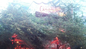 Carmen Bar