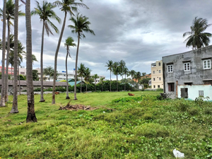 Diem Lien Guesthouse