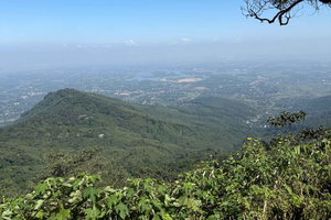 Halong Bay: Cat Ba National Park Trek with Lunch