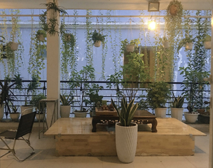 Hello SaiGon Homestay