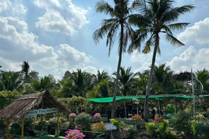 Ho Chi Minh City: 2-Day Bike & Kayak Mekong Delta Tour