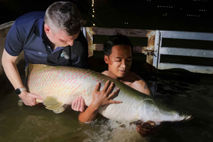 Ho Chi Minh: Giant Monster Fishing Day Tour