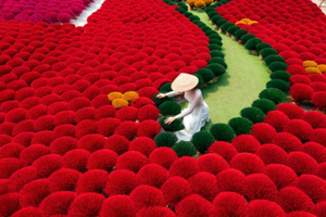 Top 10 Must-Visit Festivals in Vietnam During the Winter Season