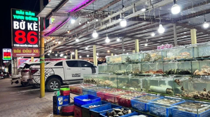 Nhà Hàng Hải Sản Tươi Sống Bờ Kè 86 (sea side fresh seafood restaurant boke 86)