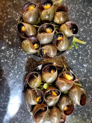 Ốc Đêm Tín Nghĩa