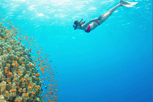 Phu Quoc: Riktig snorkling och öluff med speedboat (max 12)