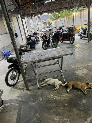 Quán Ăn Sân Vườn Duyên Quê