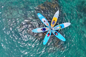Quy Nhon: Seaweed Fields SUP Tour with Flycam Photos