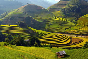 Sa Pa: Muong Hoa Valley Trek and Local Ethnic Villages