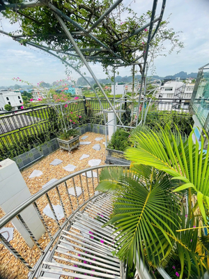 Tam Coc Guest House One & Hotel Ninh Binh