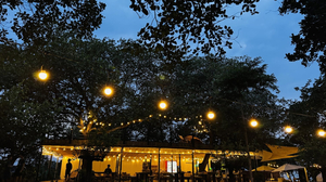 Tropical eglamping