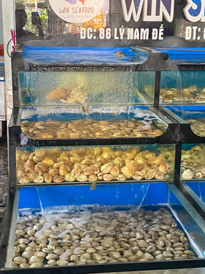 Win Seafood - Hải sản Huế 🦐🦀🐟🐙🦑