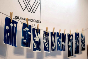 Warszawa: Cyanotype-workshop, lag botaniske soltrykk