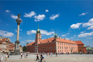Royal Castle Private Guided Tour with Tickets