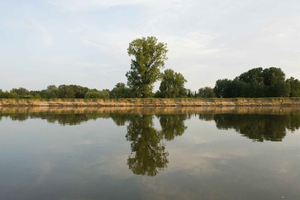 Vistula River Wildlife Safari Boat Tour