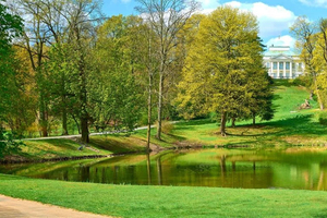 Warsaw Royal Palaces Private Tour