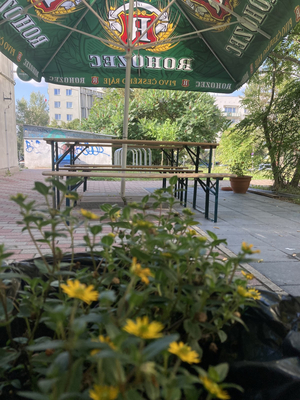 Bar Janusz