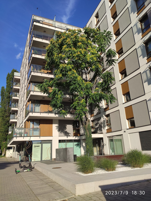 Chopin Apartments Union