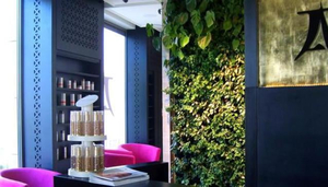 Embassy of Beauty (Ambasada Urody)