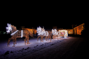 Royal Garden of Light