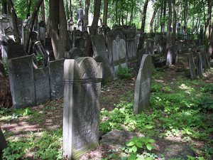 Warsaw Jewish Cemetery
