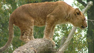 Warsaw Zoo