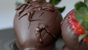 Wedel Chocolate Lounge