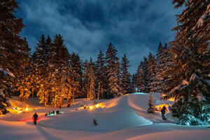 Bend: excursão com raquetes de neve às montanhas Cascade e fogueira