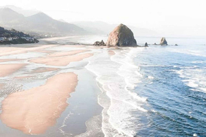 From Portland: Oregon Coast Tour
