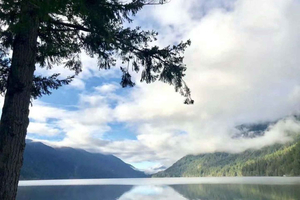 Olympic National Park dagtour in kleine groep met State Ferries