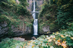 Portland: Mt. Hood Day Tour