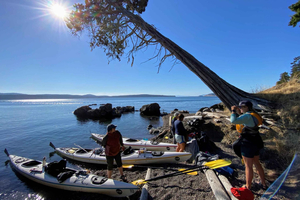 Îles San Juan : 3 jours d'aventure en kayak et camping