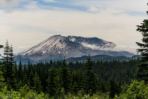 Seattle: Mt. St. Helens National Monument Tur med en lille gruppe