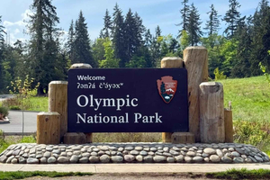Tur/retur fra Seattle：1-dags tur til Olympic Nationalpark