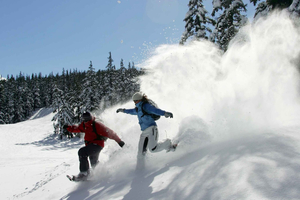 Bend: Halve dag sneeuwschoentocht in het Cascadegebergte
